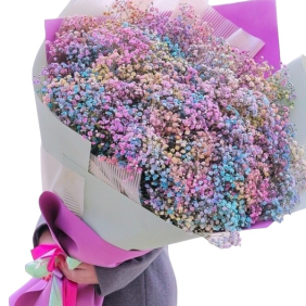  Belek Flowers Order 31 Renkli Cipsofilya Buket