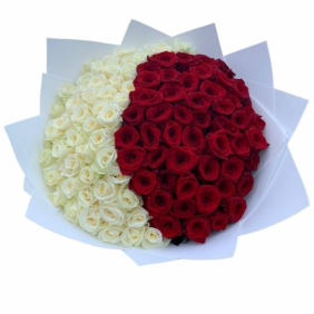  Belek Flowers Order 151 Adet Kırmızı Beyaz Gül Buket